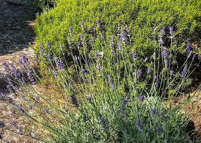 Nyaraló By Interhome *