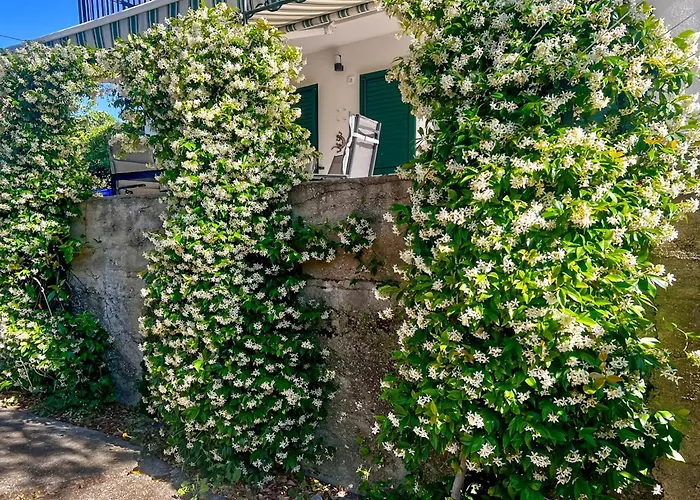 Nyaraló By Interhome *